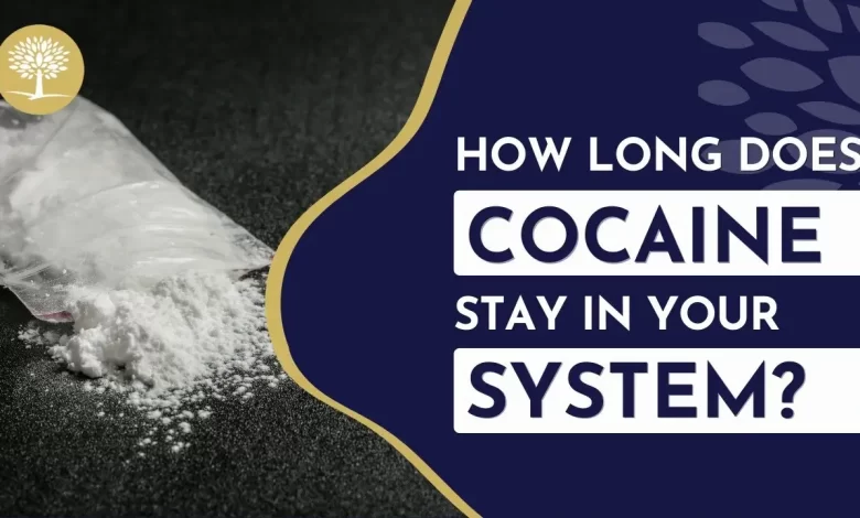 How Long Does Cocaine Stay In Your System