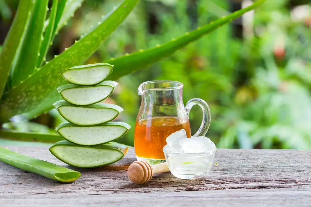 Aloe Vera For Acne