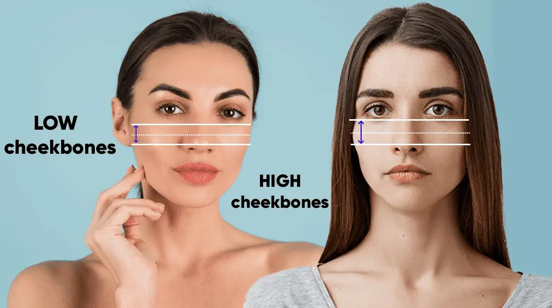 How to Tell if you have high cheekbones