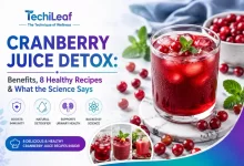 Cranberry Juice Detox Recipes to Cleanse Your System
