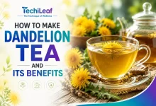 How To Make Dandelion Tea And Its Benefits