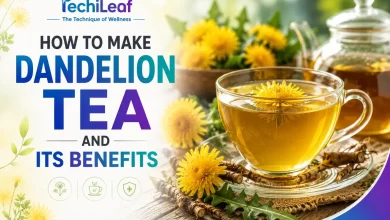 How To Make Dandelion Tea And Its Benefits