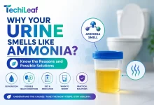 Why Your Urine Smells Like Ammonia