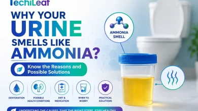 Why Your Urine Smells Like Ammonia