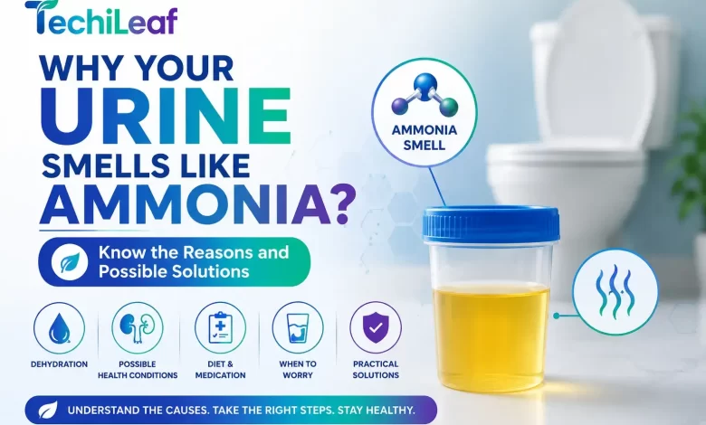 Why Your Urine Smells Like Ammonia