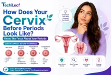 Cervix Before Period Look Like