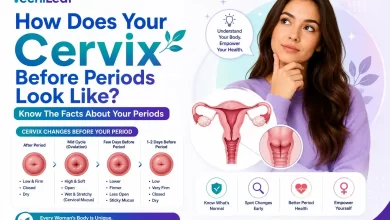 Cervix Before Period Look Like