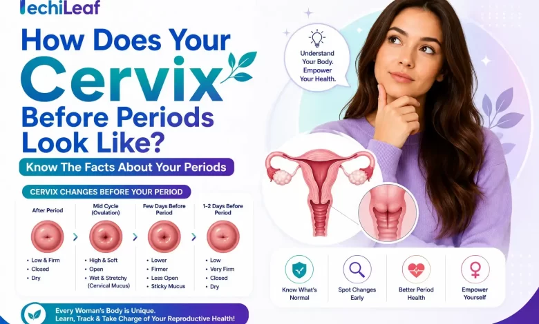 Cervix Before Period Look Like