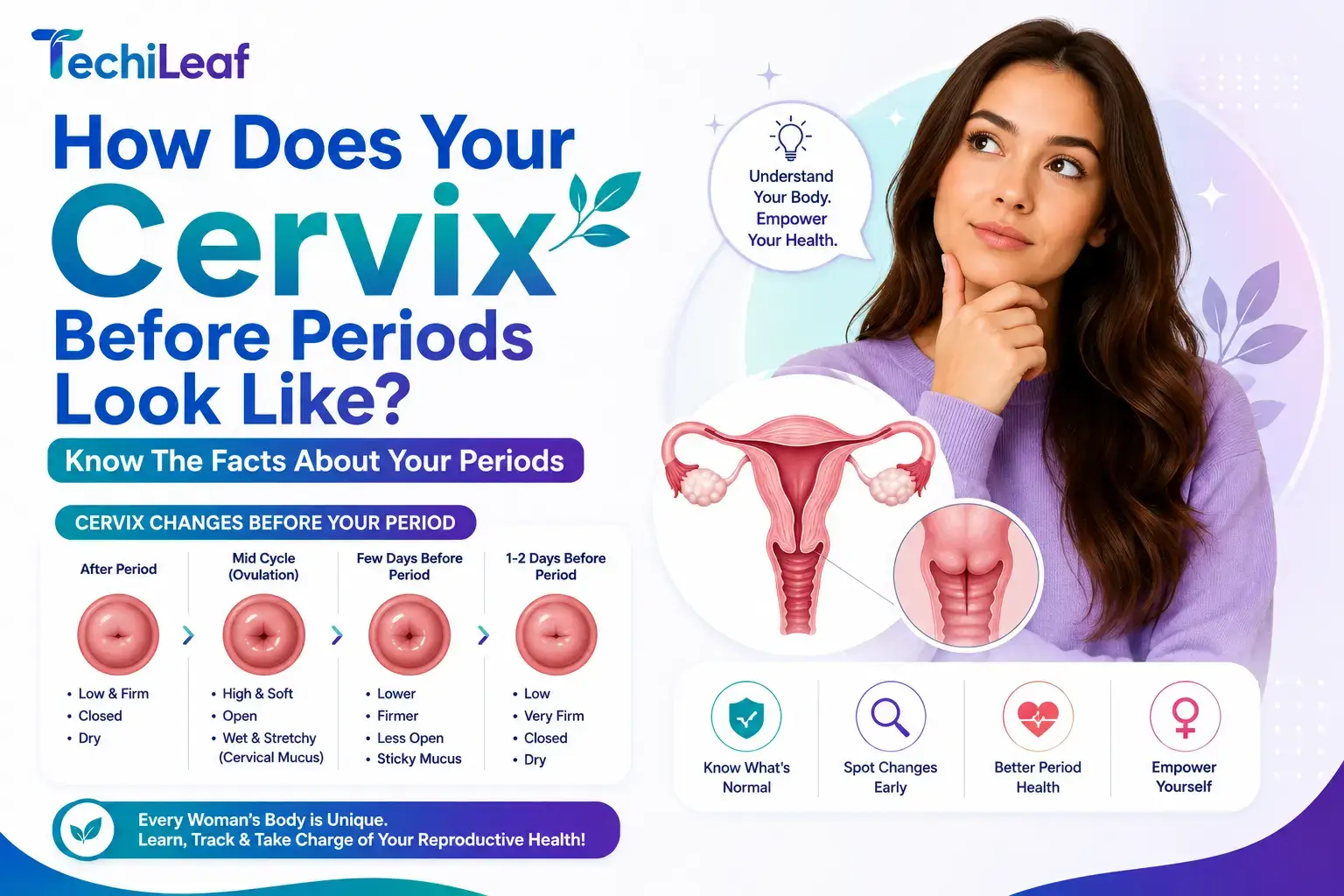 Cervix Before Period Look Like