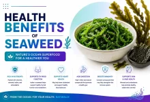 Health Benefits Of Seaweed