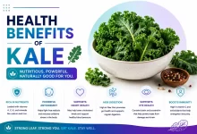 Health Benefits of Kale