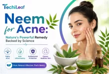 Benefits of Neem for Acne
