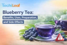 Blueberry Tea