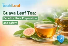 Guava Leaf Tea