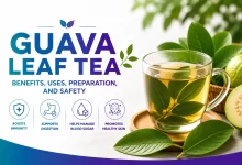Guava Leaf Tea Benefits